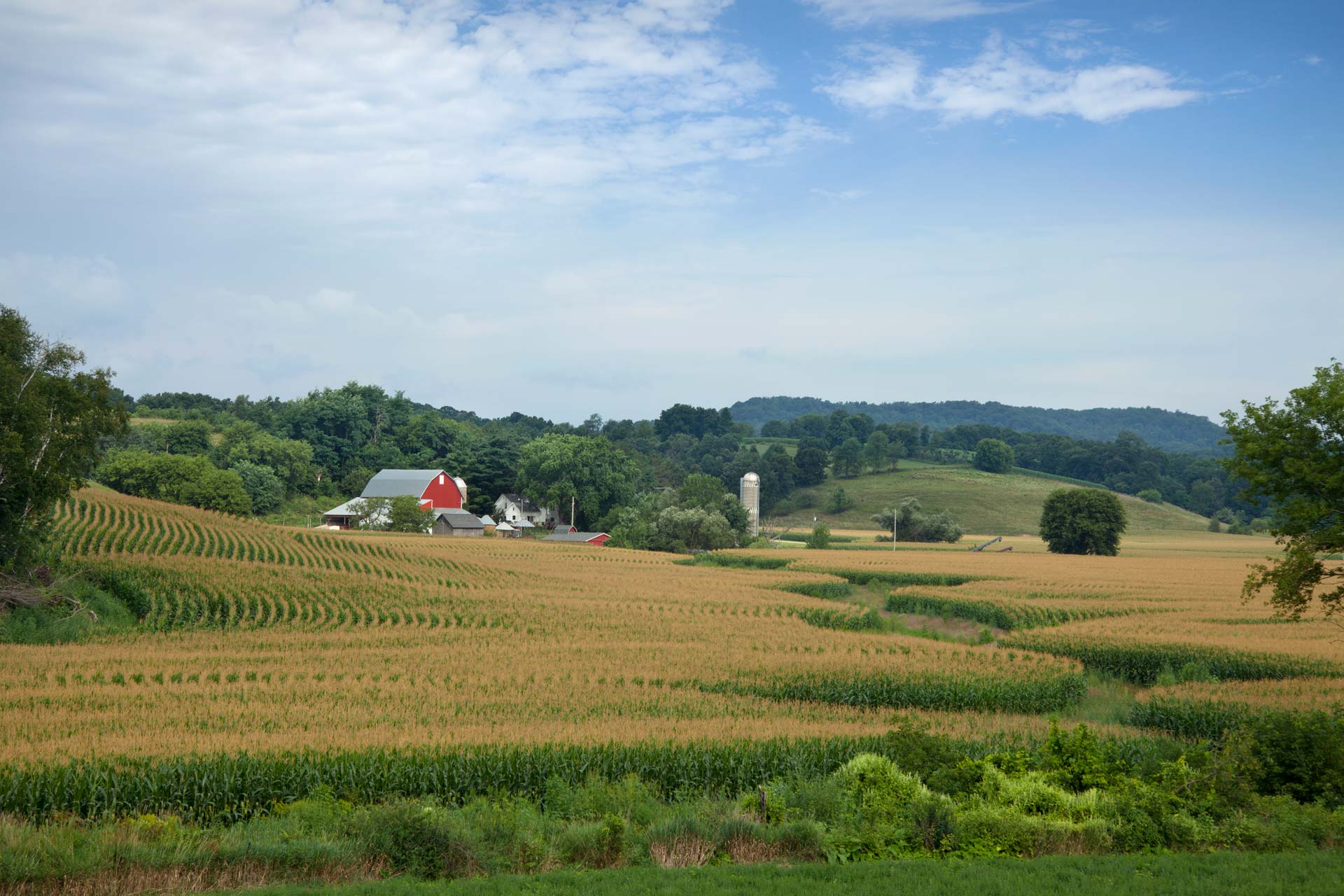 Evergreen Tree Farm